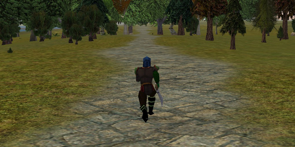 An adventurer, starting a journey to a new town.